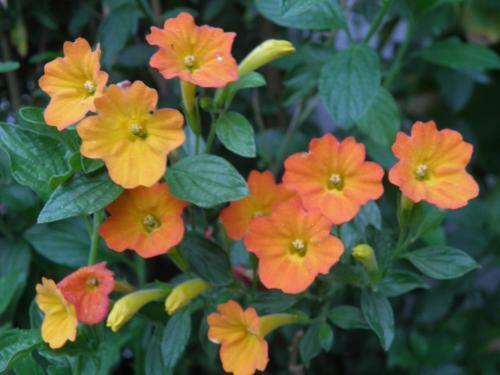 Posada Hosteria Suyana