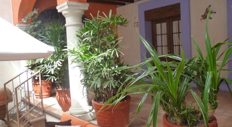 Hotel Tr�bol