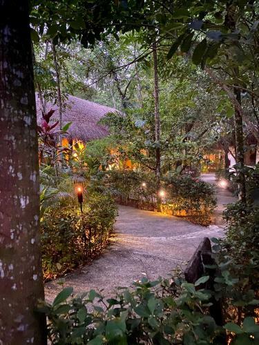 Hotel Piedra De Agua Palenque