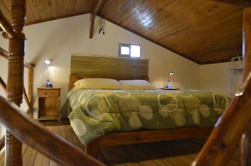 Lodge Isla Chamam�