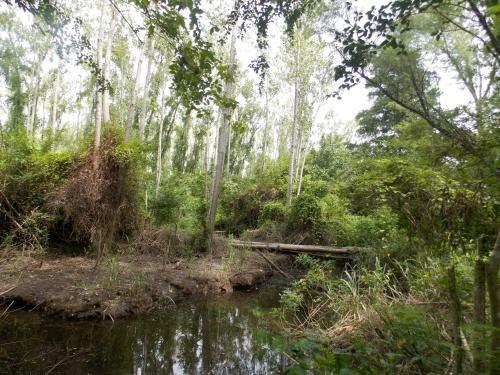 Lodge Isla Chamam�
