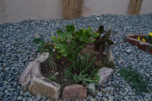 Posada Yac�n