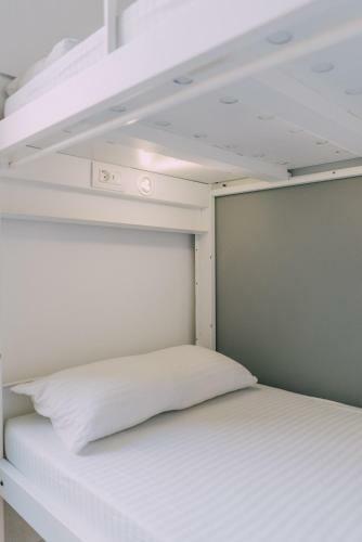 Black Swan Hostel