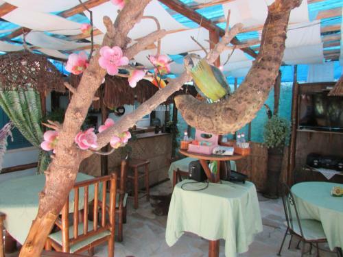 Hostal Pousada To A Toa