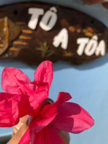 Hostal Pousada To A Toa