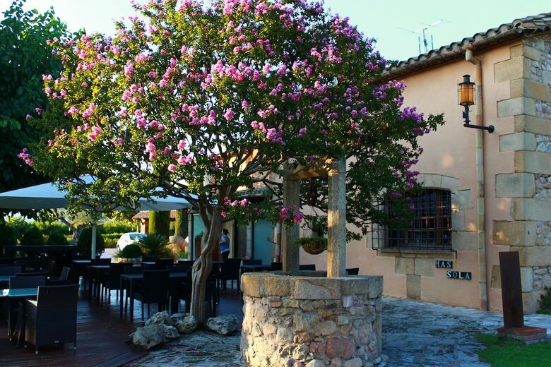 Hotel Mas Sol�