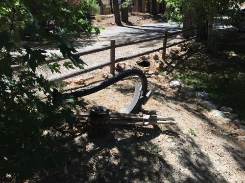 Goldmine Lodge & Black Bear Cottages