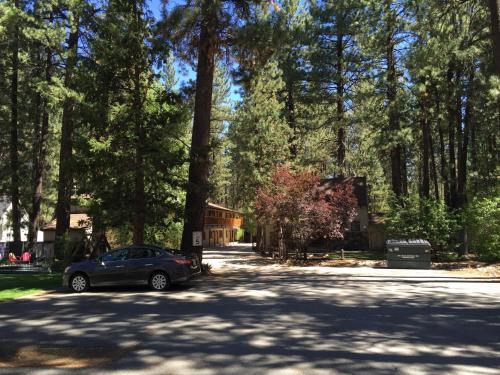 Goldmine Lodge & Black Bear Cottages
