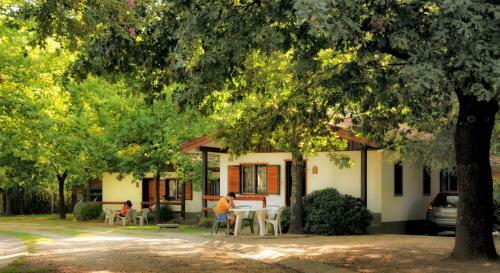 Lodge Caba�as Alpendorf
