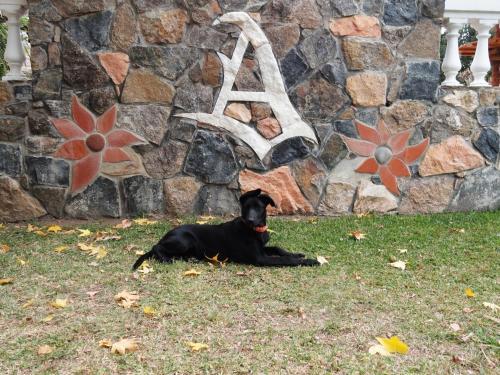 Lodge Caba�as Alpendorf