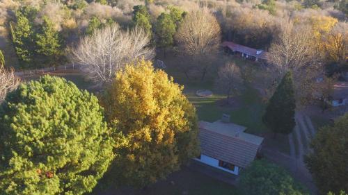 Lodge Caba�as Alpendorf