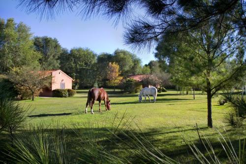 Hotel Caba�as Landhaus