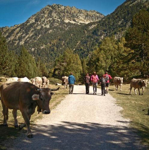 Agroturismo Casa Rural Hortal