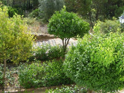 Agroturismo Casa Los Naranjos
