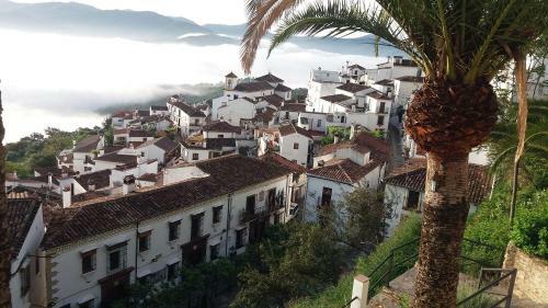 Casa El Olivo