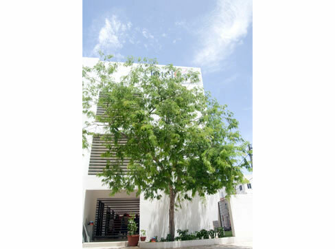Hotel Plaza Playa