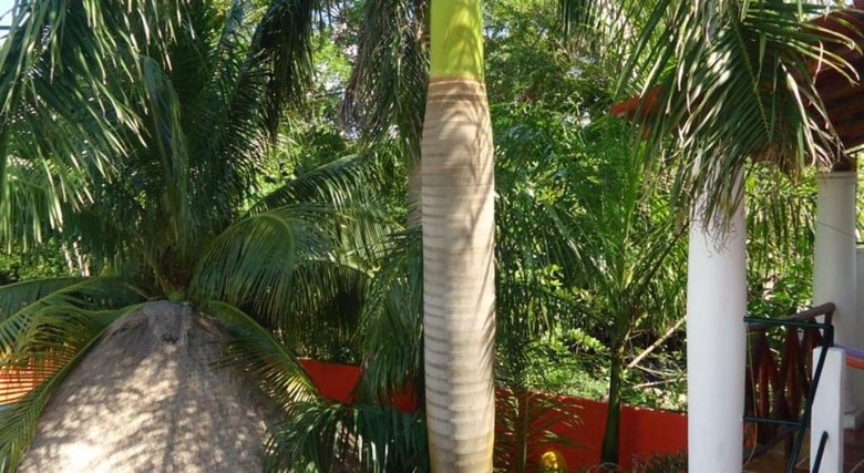 El Acuario Hotel
