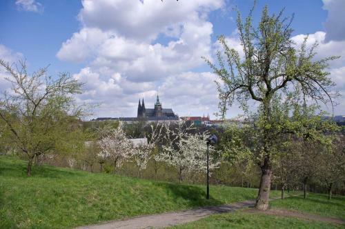 Aparthotel Apartment-hotels Rentego