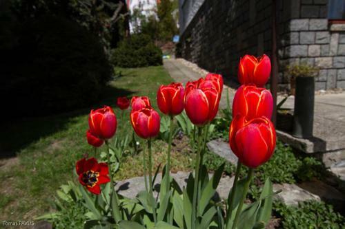 Hostal Pension Apartment Granit
