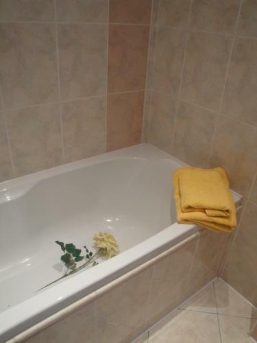 Hostal Pension Apartment Granit