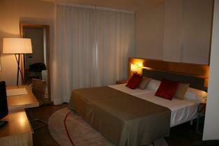 Hotel Guadalmedina
