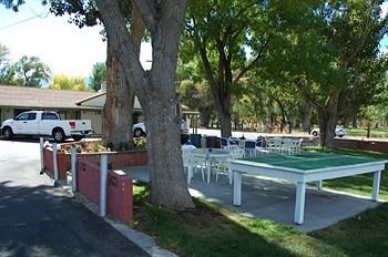 Trees Motel