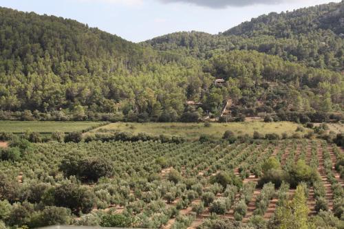 Agroturismo Can Torna