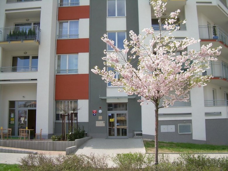 Apartamentos Happy House