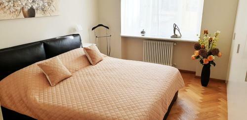 Apartments Comfort