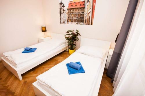 Apartamentos Fashion Loft