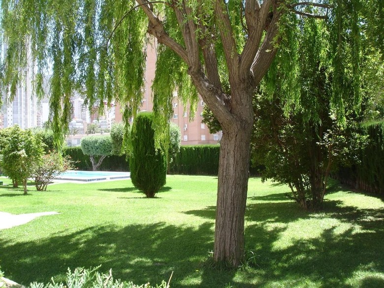 Apartamento Los Olivos