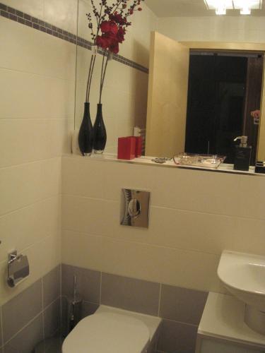 Czech Bohemia Design Apartments Prague