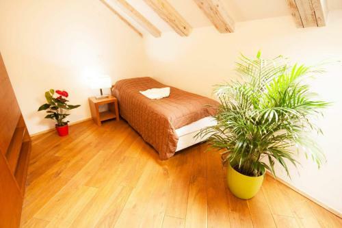 Apartamentos Kozna Loft
