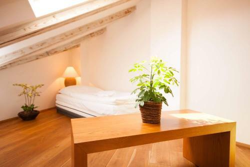 Apartamentos Kozna Loft