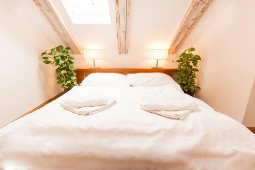 Apartamentos Kozna Loft