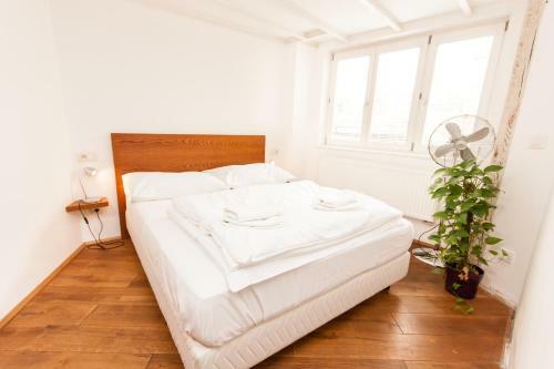 Apartamentos Kozna Loft
