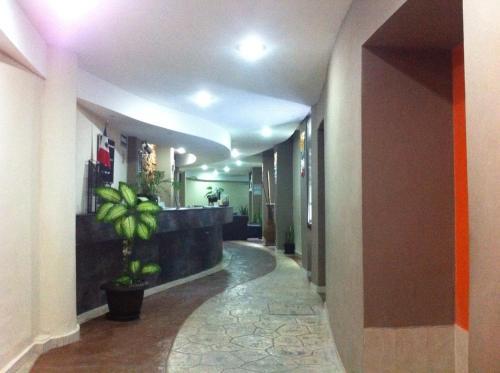 Hotel &amp; Suites Domani