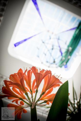 Apartamento Los Balcones