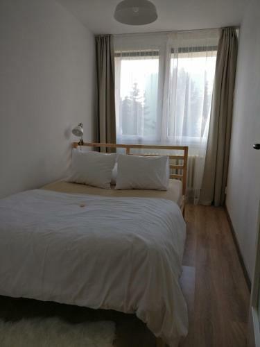 Invalidovna Apartment