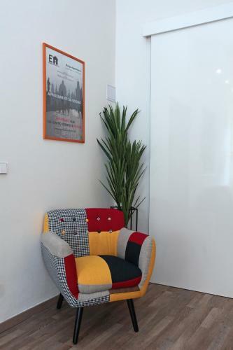 Apartment - The Modern Flat