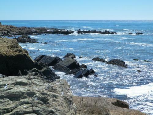 Posada Sea Otter Inn