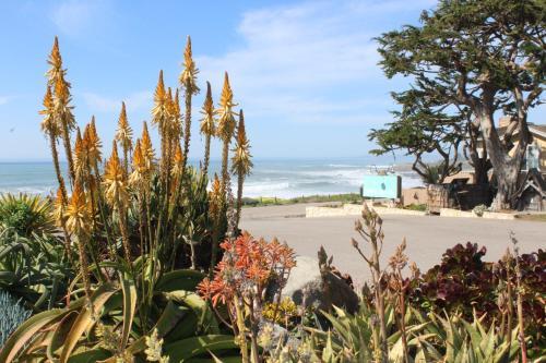 Hotel Cambria Shores Inn