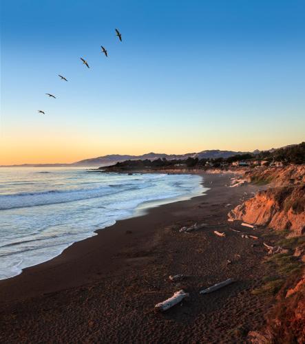 Moonstone Cottages By The Sea