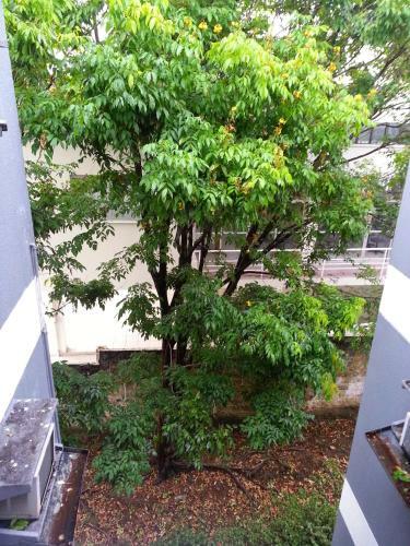 Apartamento Alter Temporada 2525