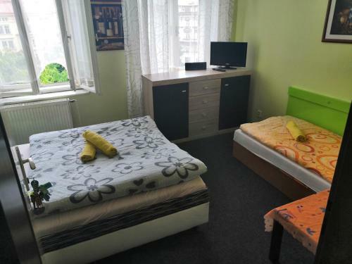 Hostel Cortina