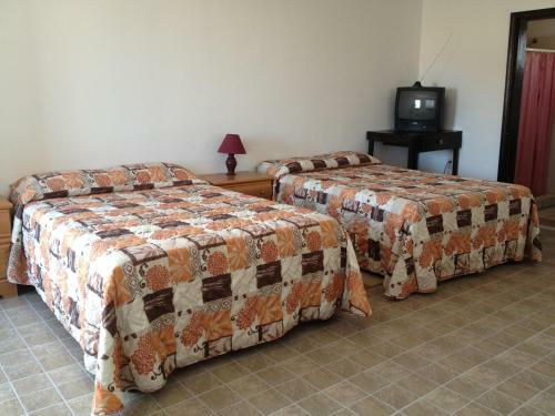 Apartamento Whale Hill