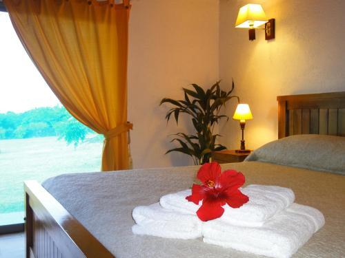 Hotel Heva Eco Lodge
