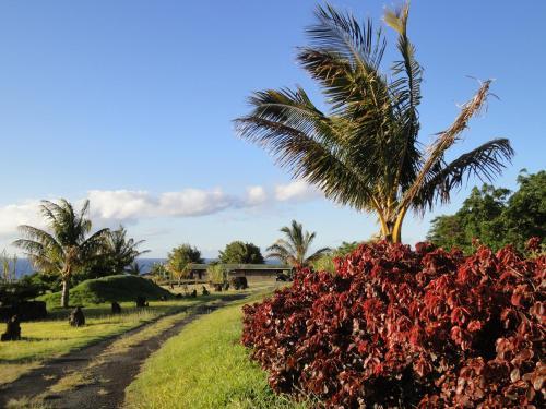 Hotel Heva Eco Lodge