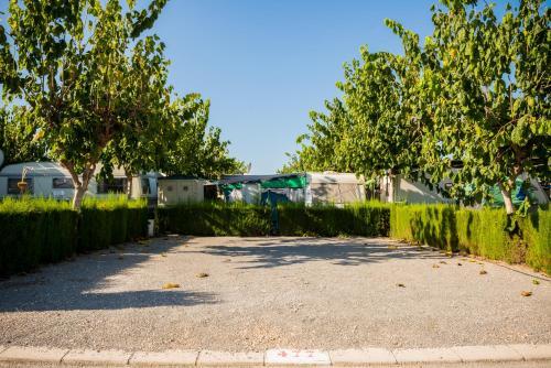 Camping Raco