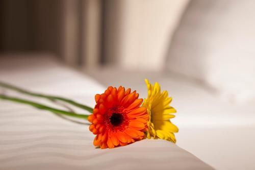 Hotel Dahlia Inn